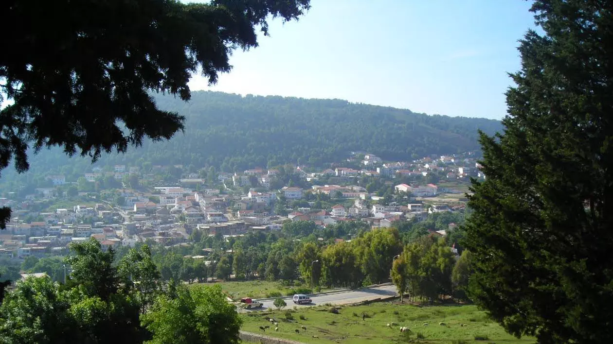 IDEI DE VACANŢĂ. Tărâmul verde al lumii arabe!