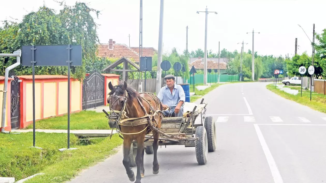 REPORTAJ EXCLUSIV | Satul cu 200 de indicatoare | FOTO