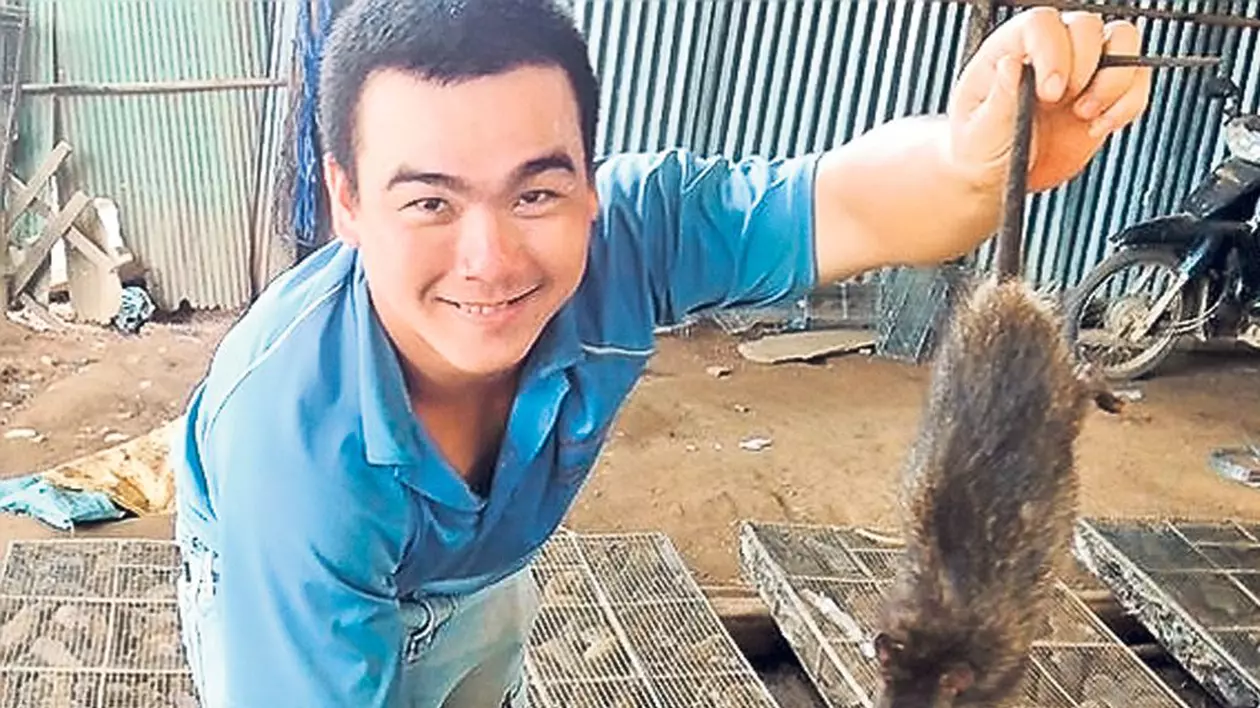 A explodat cererea de carne de şobolan în Asia