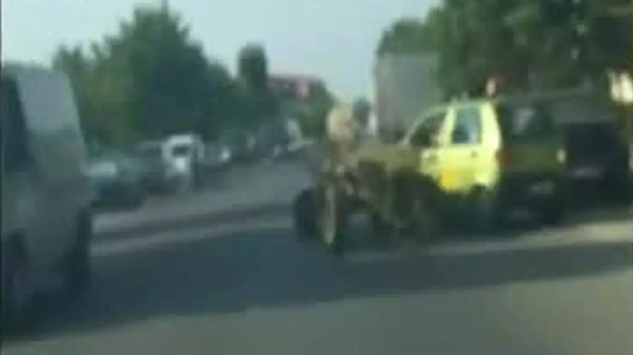 Goană nebună pe străzile din Târgovişte! Un cal legat la o căruţă a lovit şapte maşini 