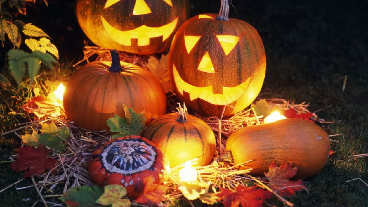 Halloween 2014 | Învaţă să FACI ”Dovleacul felinar”, în cinci paşi SIMPLI | FOTO
