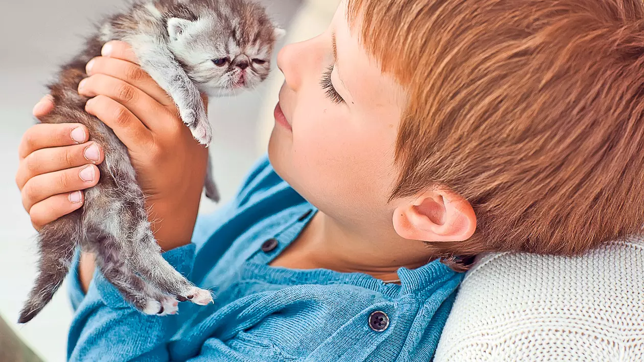 Copilul tău vrea un animal de companie? Iată de ce trebuie să ţii cont când îl alegi