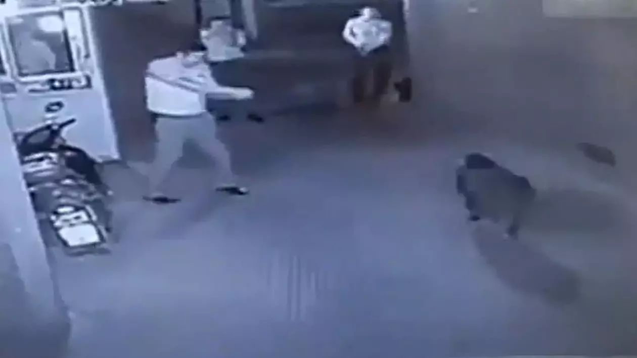Incredibil! Femeie împuşcată de poliţiştii care urmăreau un MISTREŢ | VIDEO