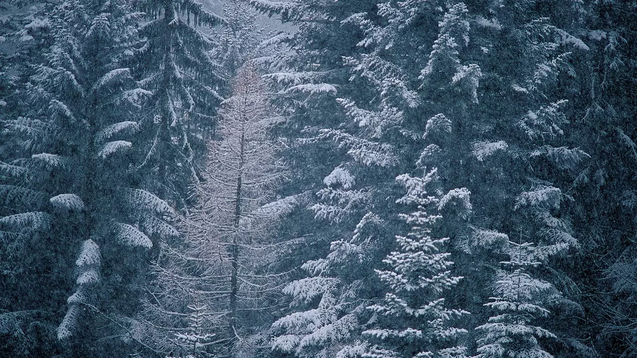 PROGNOZA METEO | Cum va fi VREMEA în WEEKEND