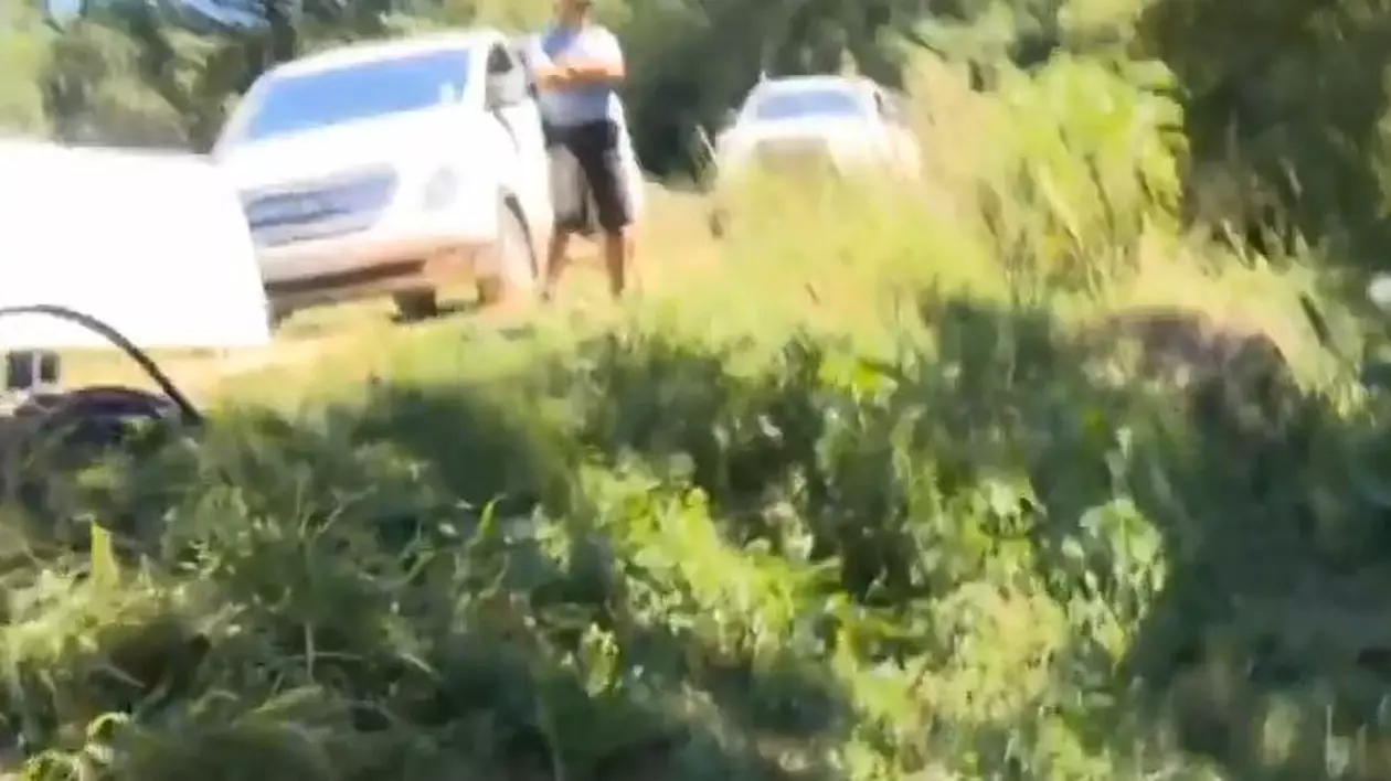 IMAGINILE CARE aruncă ÎN AER lumea MEDIA! Ce se întâmplă de fapt, în jungla de la "SUNT CELEBRU, SCOATE-MĂ DE AICI!"