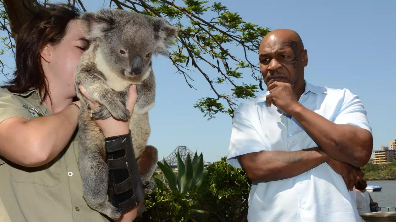 Mike Tyson despre lupta secolului: ”Mayweather nu știe să lupte cu Pacquiao!”