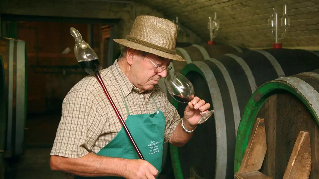 Sticlă de vin deschisă după 151 de ani! Ce gust avea? 
