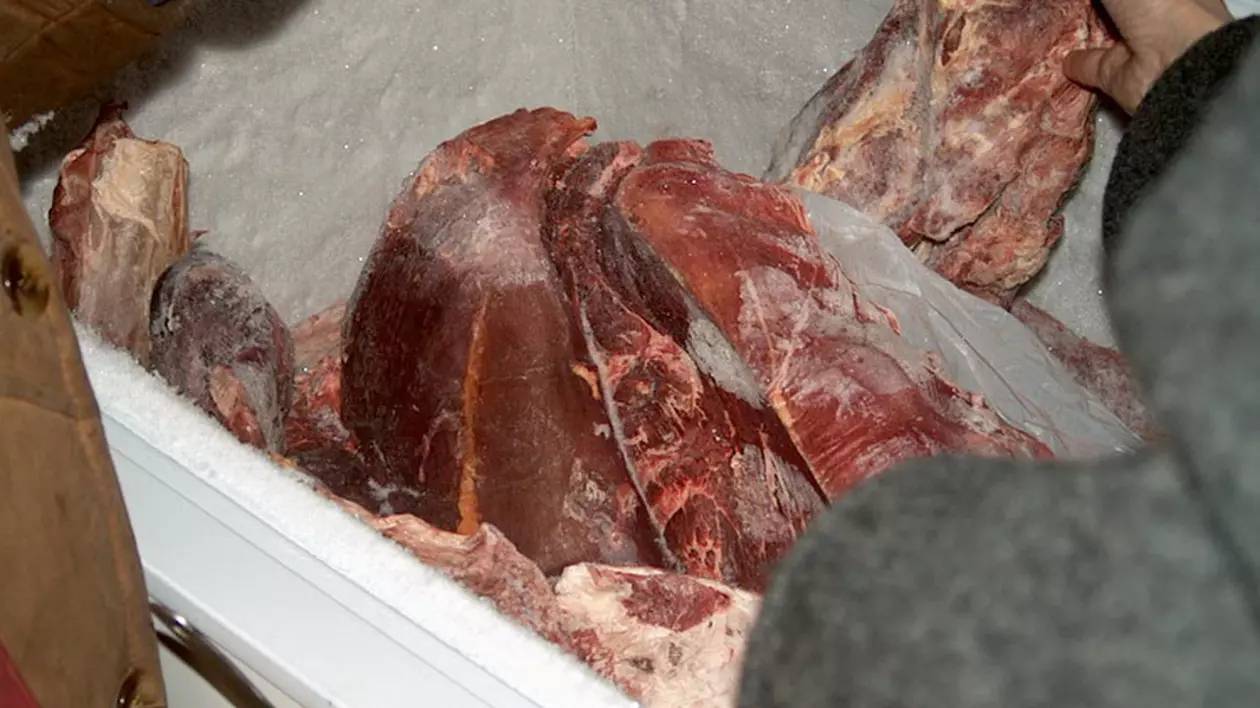 FOCAR DE INFECȚIE! 70 de kilograme de carne stricată, găsită într-un supermarket