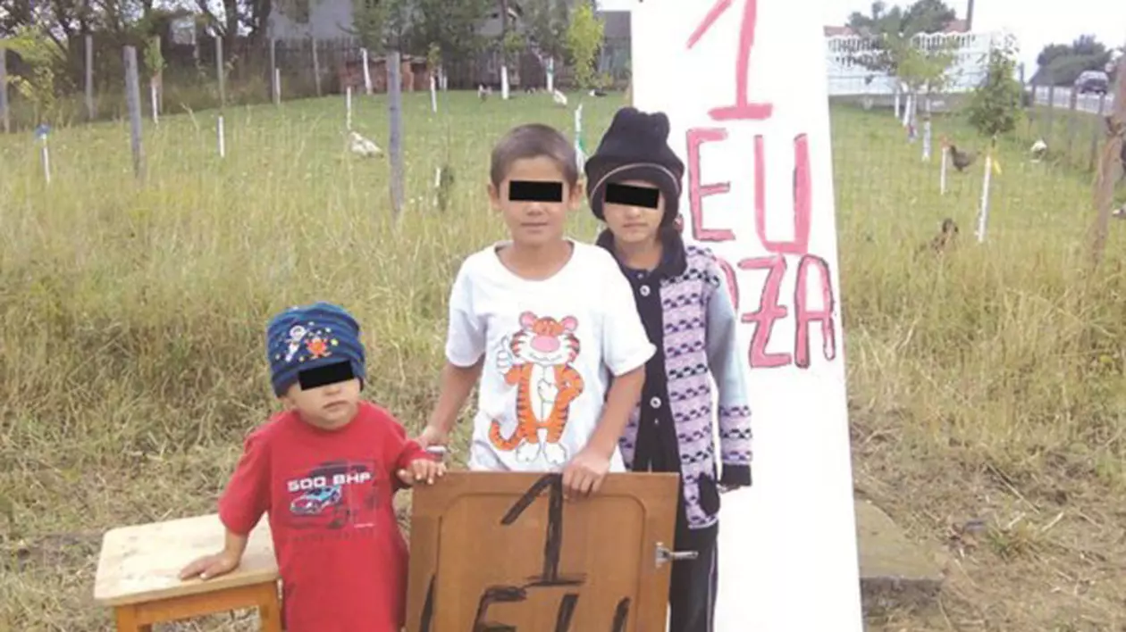 Faceți poze cu măgărușul! Trei frați au luat 10 la lecția de antreprenoriat în vacanța de vară