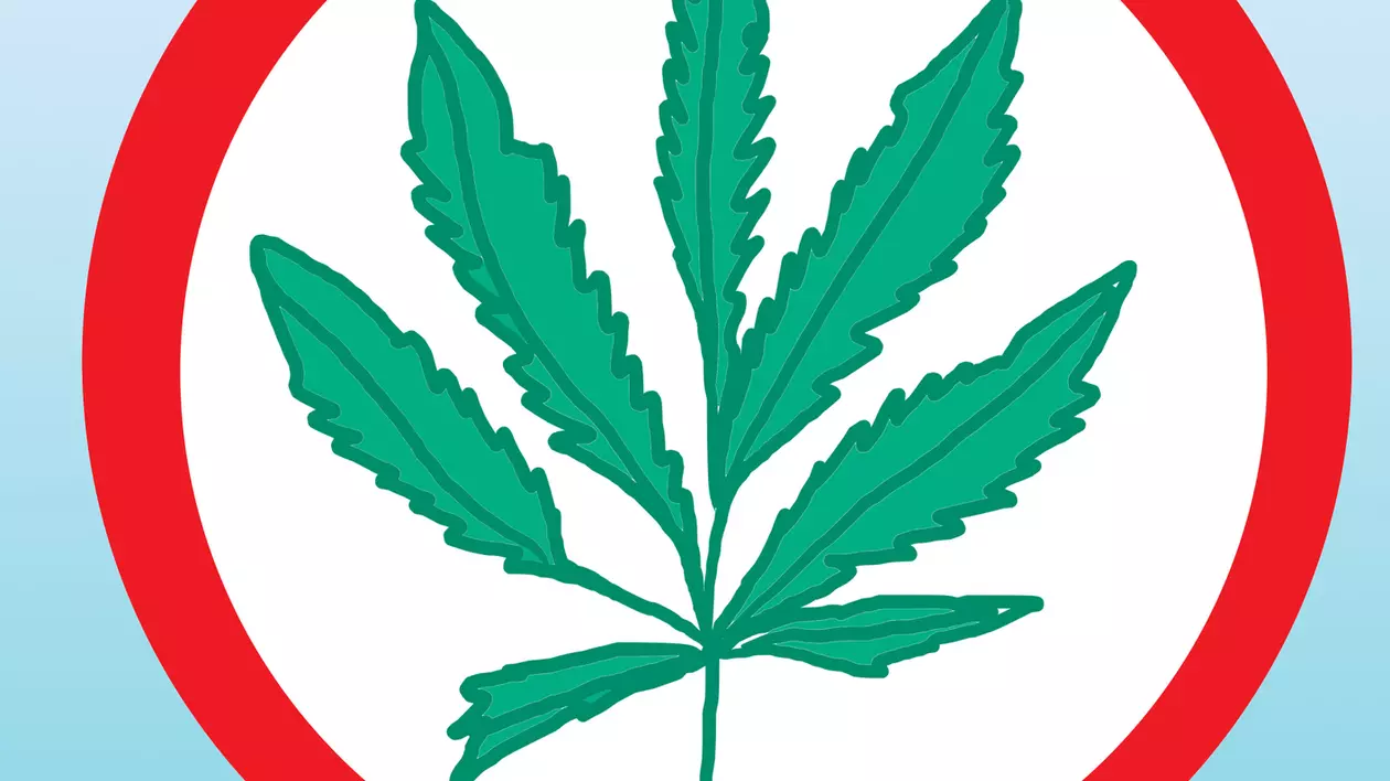 Guvernul SUA a recunoscut că marijuana ucide celulele canceroase