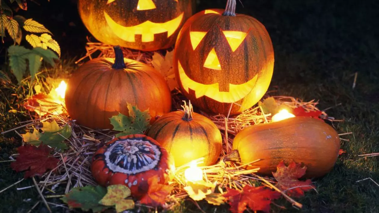 Halloween 2015 | Învaţă să faci "Dovleacul felinar", în cinci paşi simpli | FOTO