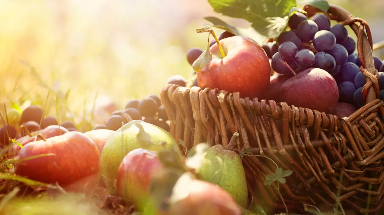 Cine este obligat să plătească impozit pe venitul agricol