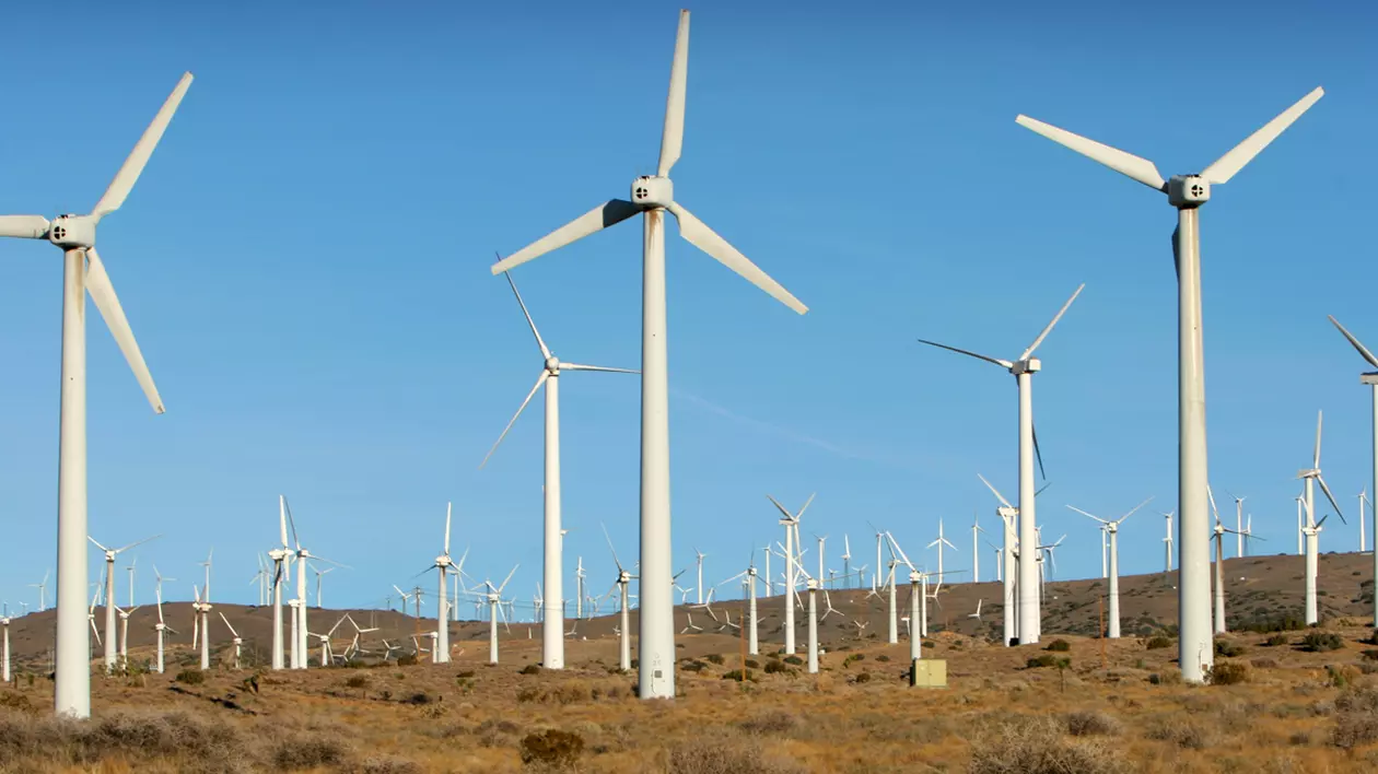 Unul dintre cei mai importanți producători de energie eoliană la nivel global dă în judecată România din cauza suprataxării