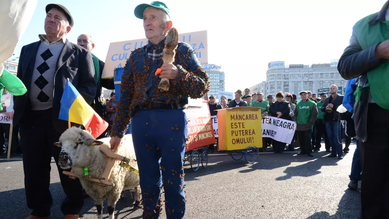 Și fermierii susțin echipa națională. 300 de agricultori români, în tribune la CE 2016