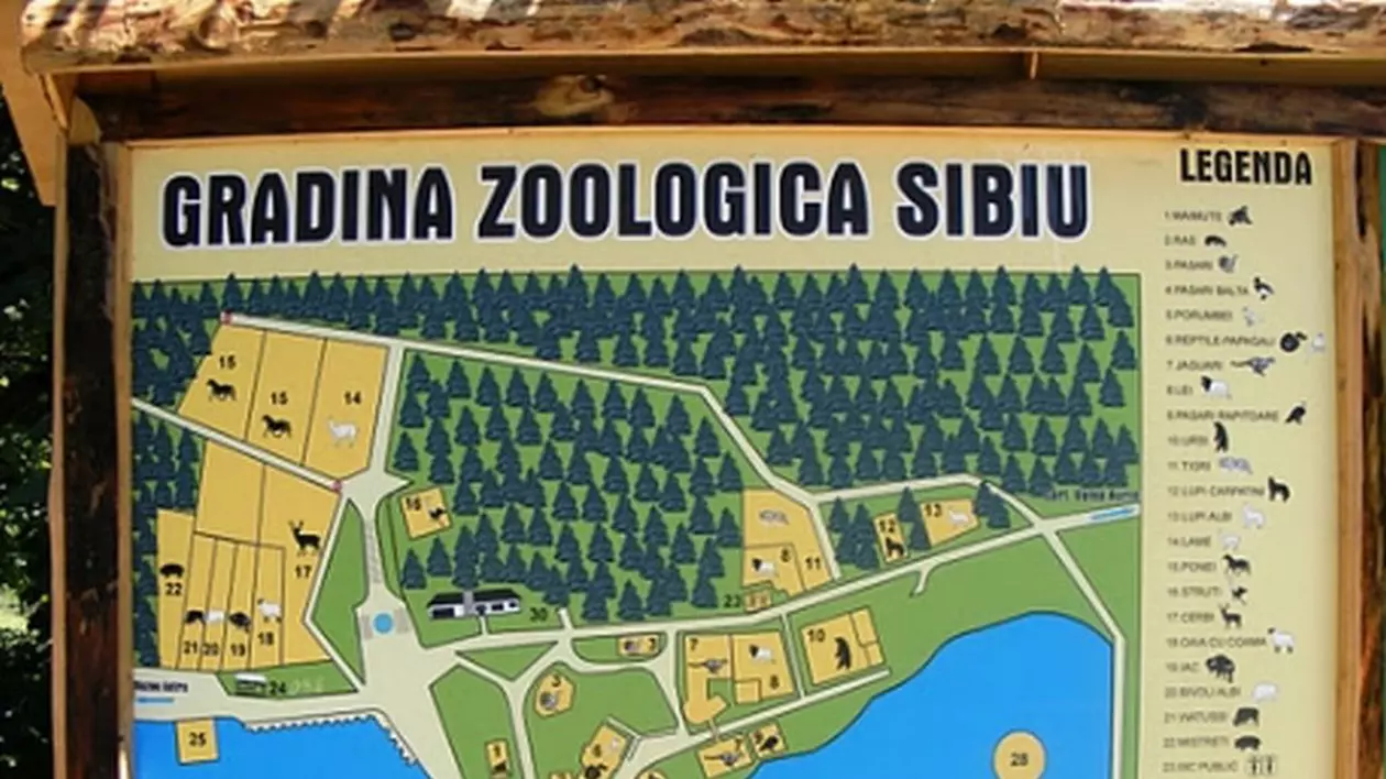 Ghid virtual pentru vizitatorii ZOO Sibiu! Află informații de pe o aplicație pe mobil