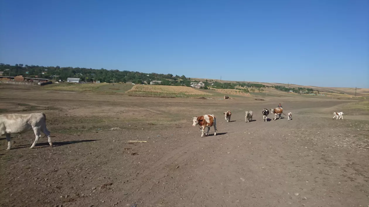 Seceta lovește în Botoșani! Stau la coadă la apă