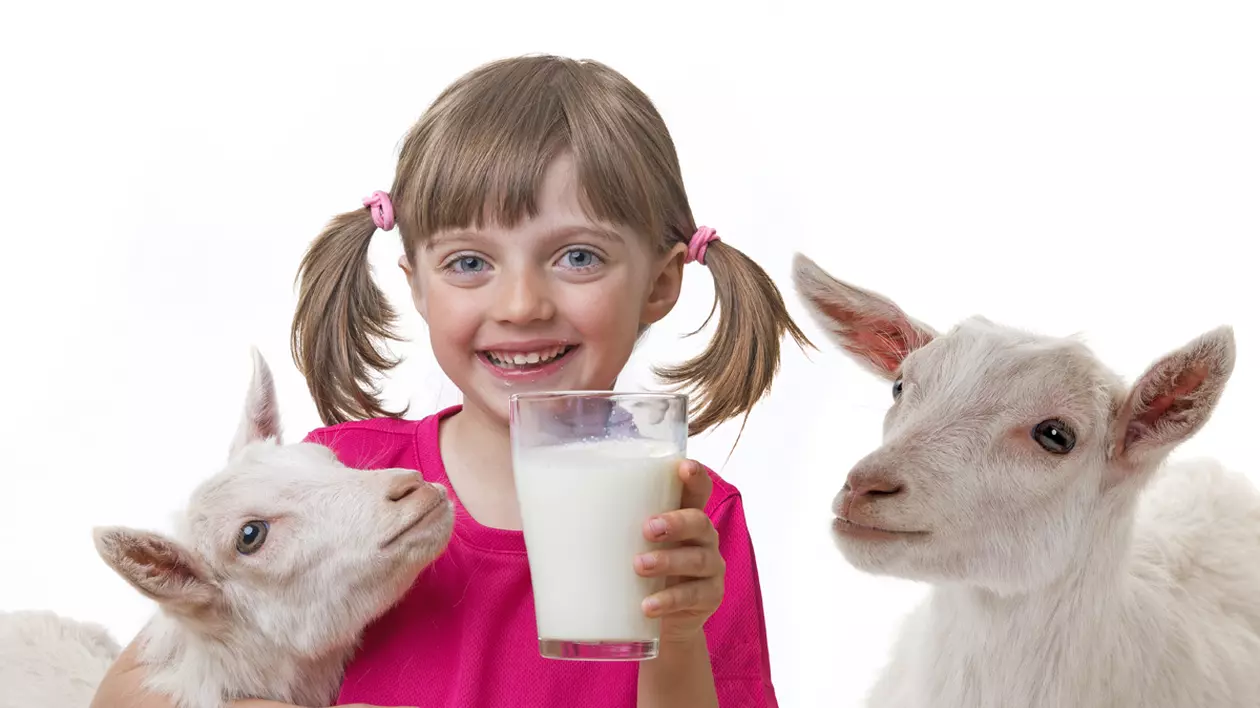 10 tipuri de lapte: care-i mai sănătos? Îți spunem ce beneficii ai consumând variantele animale și vegetale