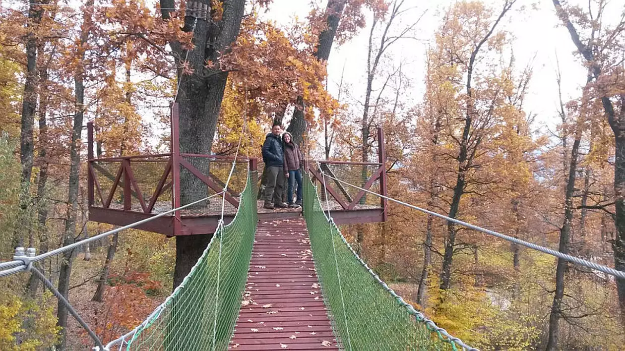 Doi americani au petrecut "luna de miere" la sanctuarul de urşi de la Zărneşti!