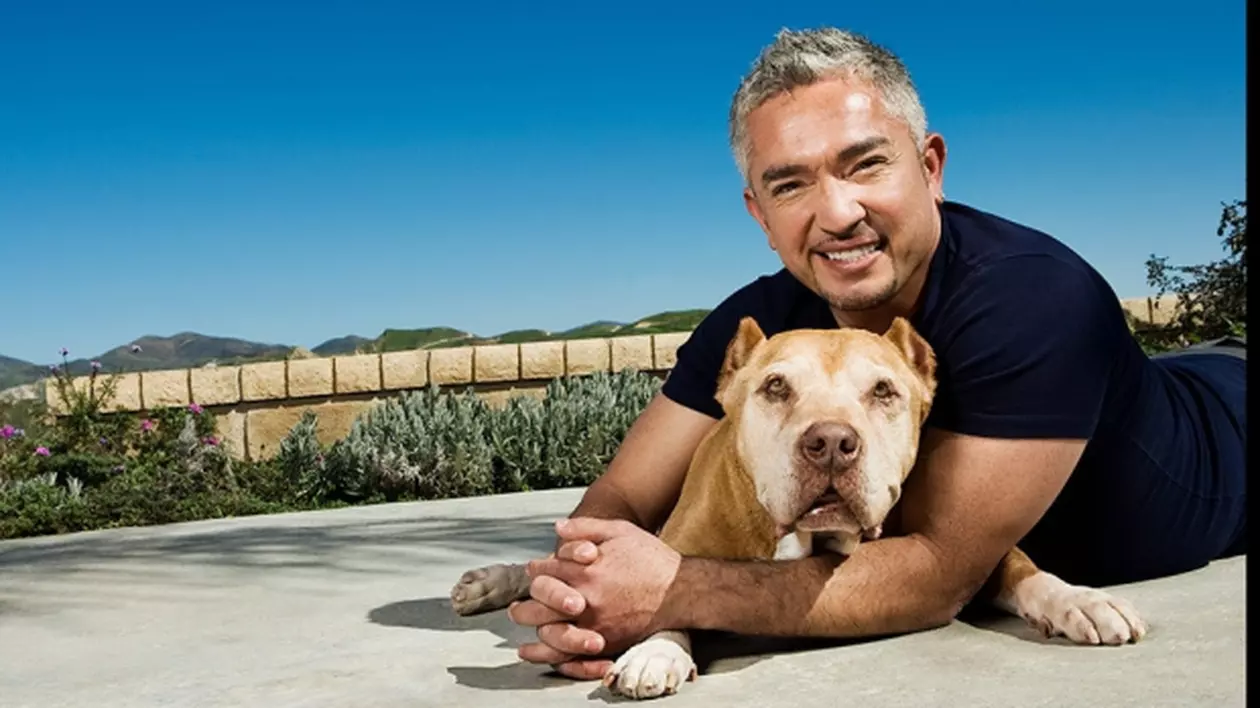Cesar Millan, cel mai faimos și iubit antrenor de câini din lume, vine la București!