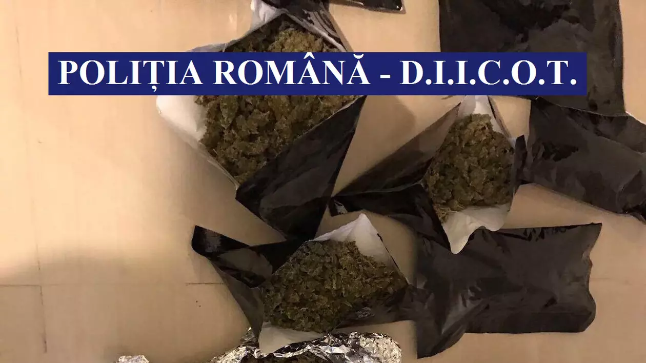 Droguri cu otravă de șobolani și spray de țânțari pe piața din România