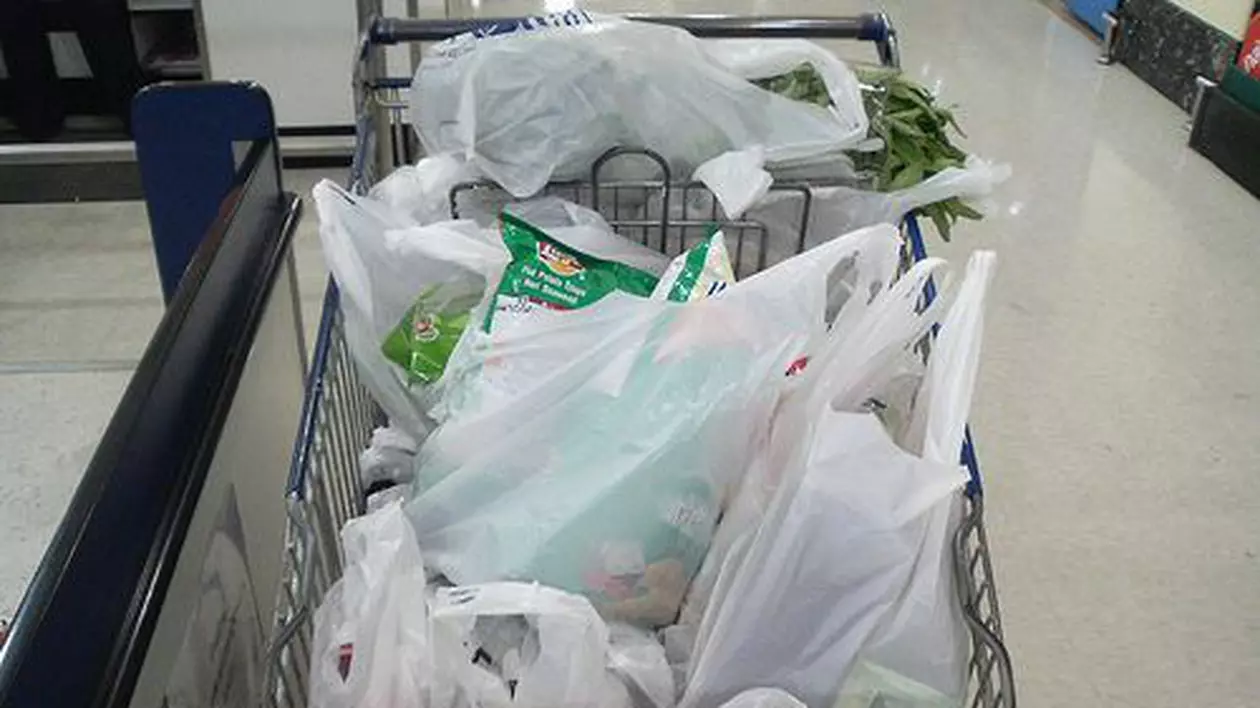 Pungile din plastic cu mâner vor fi interzise în România