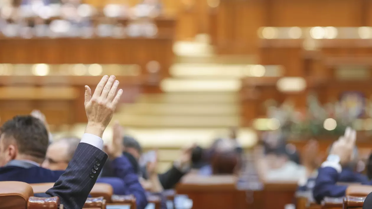 Parlament, plen