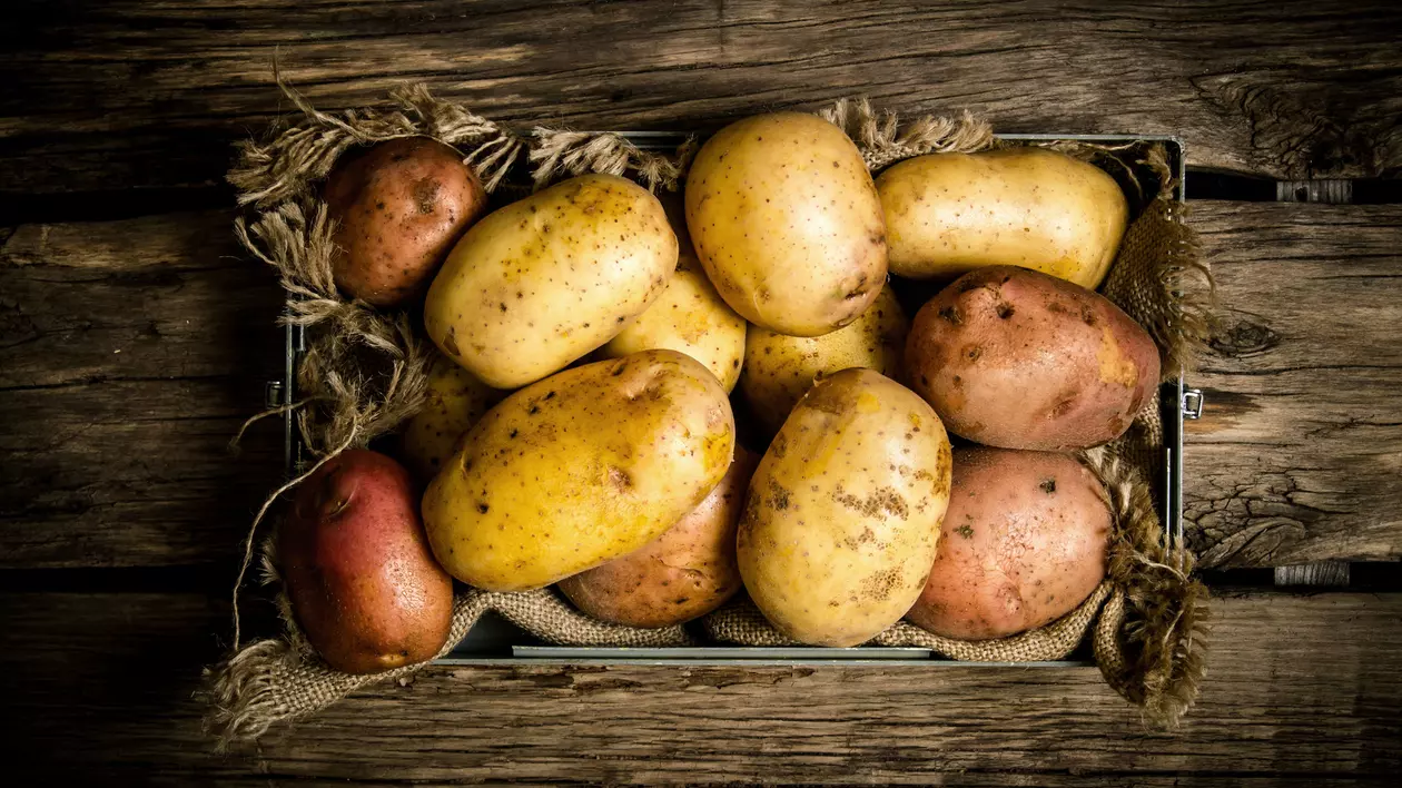 Criză de cartofi în Marea Britanie din cauza românilor