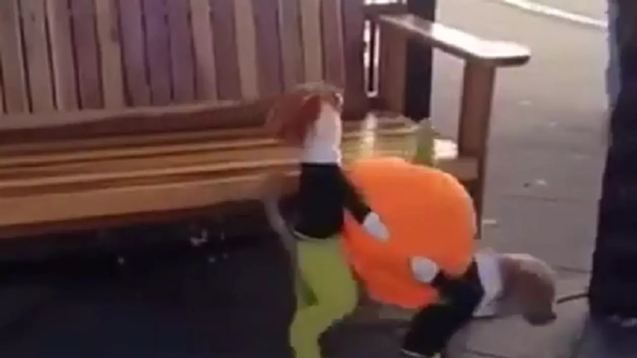 Cel mai tare costum de Halloween pentru câini