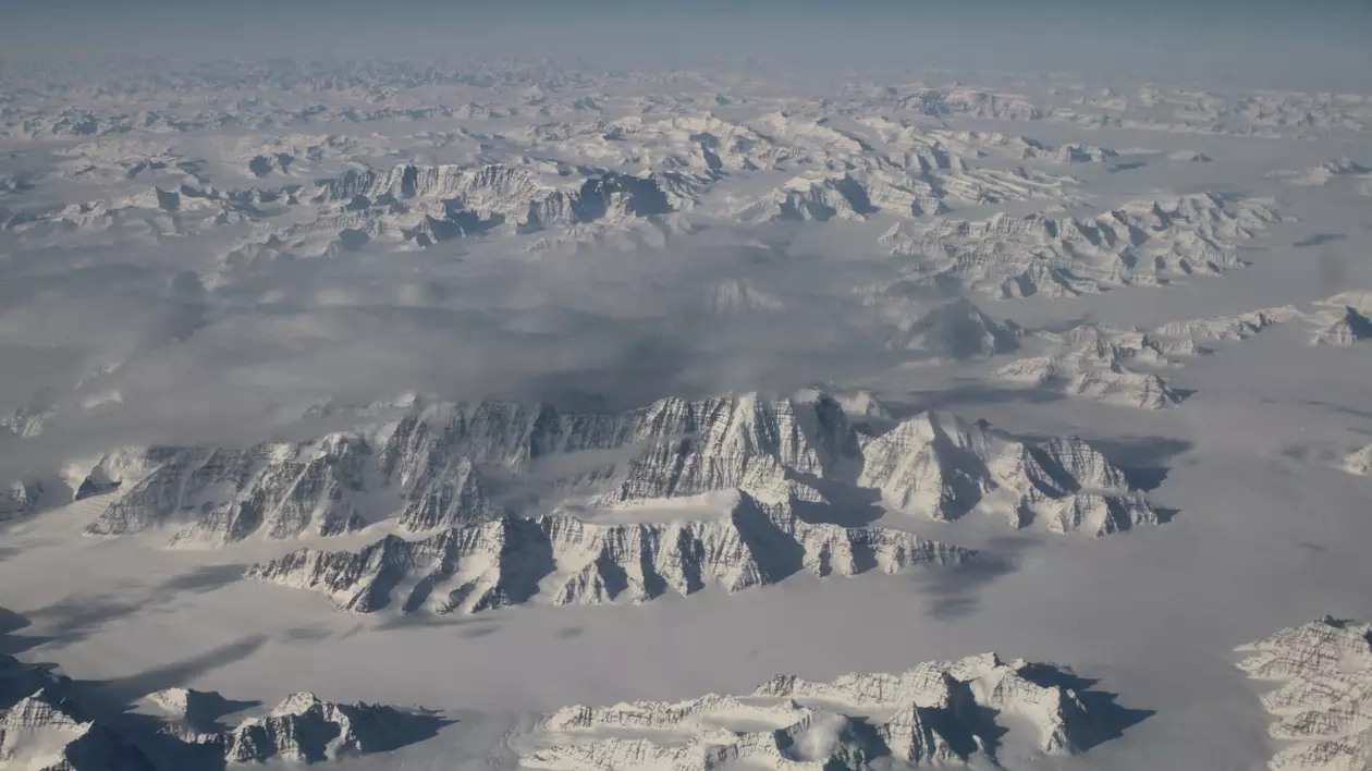 Antarctica a fost acoperită de o pădure în urmă cu 280 milioane de ani