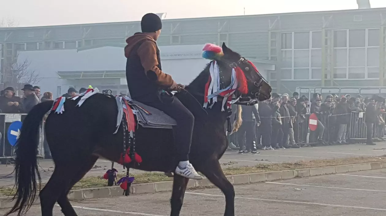 De Bobotează, caii din orașul lui Nea Mărin au fost stropiți cu agheasmă ca să nu se prindă blestemele de ei