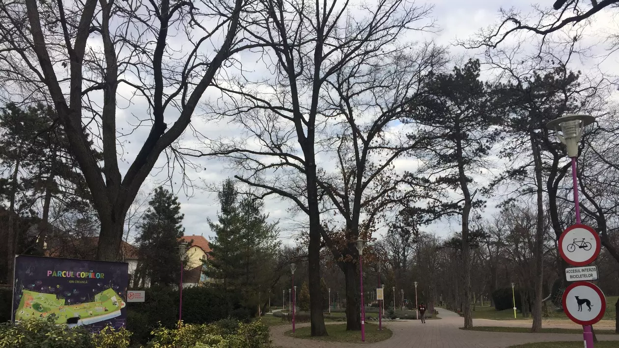Vor alerga o zi întreagă. Campionat european de 24 de ore de alergare, la Timișoara