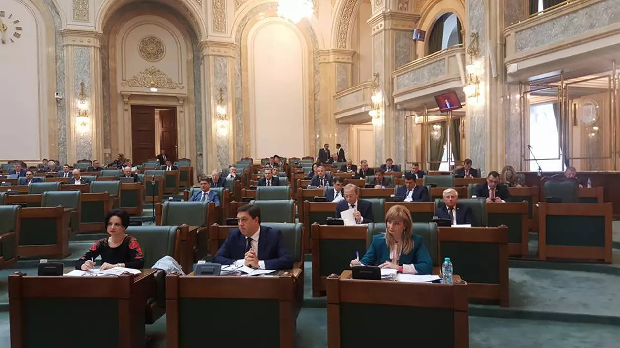 Proiectul de lege care prevede că acţiunea penală în cazul violenței domestice poate fi pusă în mişcare din oficiu