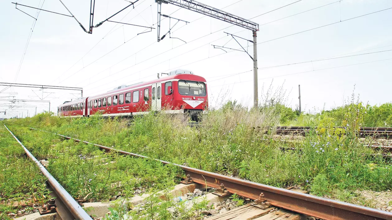 Leon Bărbulescu, noul director general al CFR Călători. Garnitură de tren