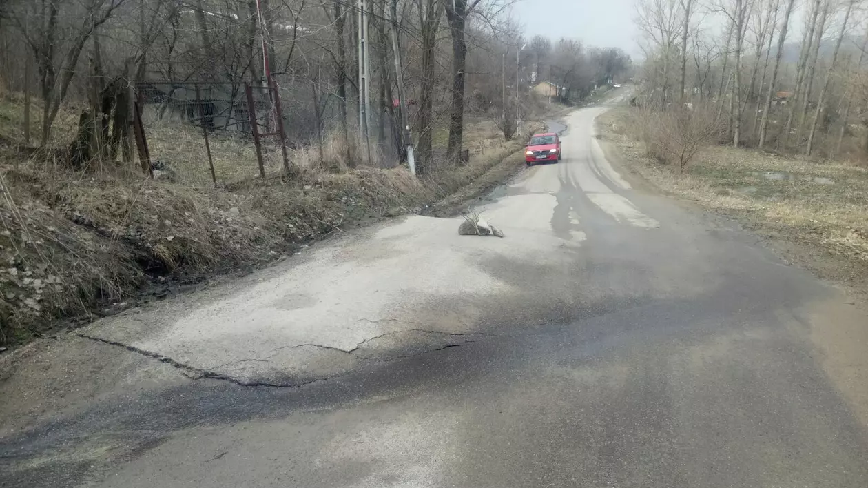 Localități din Buzău, afectate de alunecările de teren reactivate de ploi și dezgheț. Lopătari, localitatea greu încercată