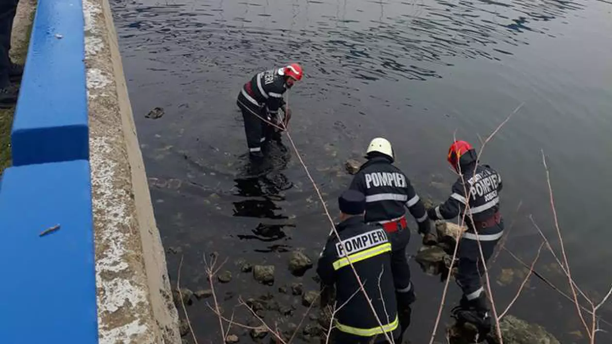 O femeie, angajată a Primăriei Medgidia, s-a aruncat de pe un pod
