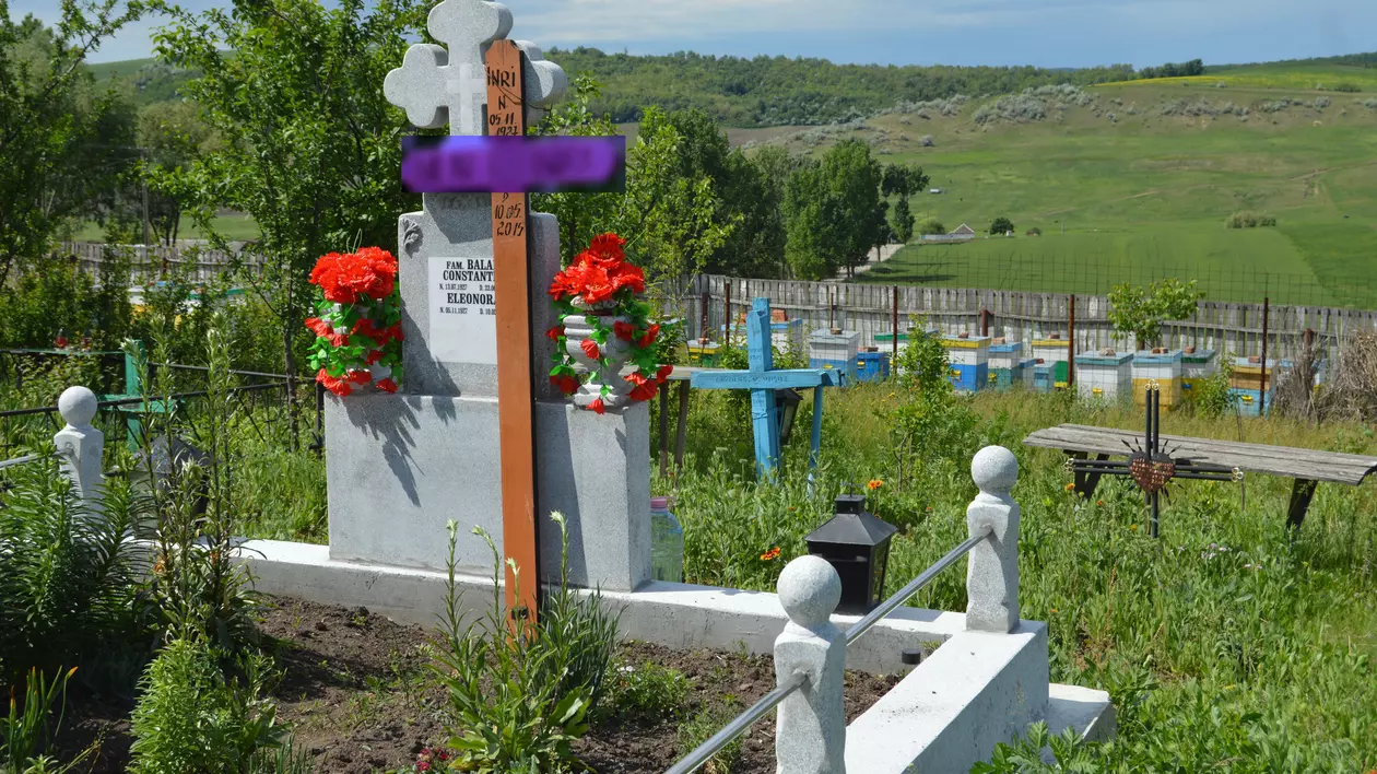 Săteni din Vaslui, terorizați de albinele unui preot care și-a pus stupii în curtea bisericii