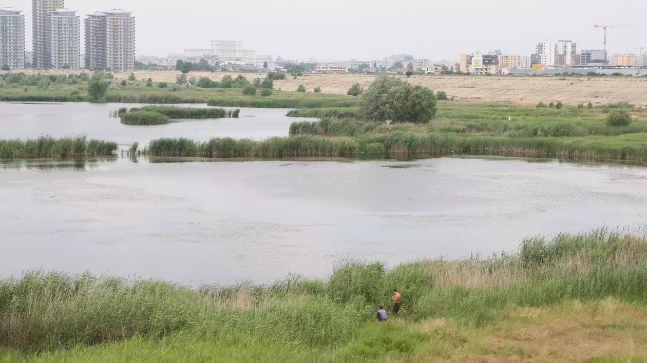 Cros pentru salvarea țestoasei de apă din Parcul Natural Văcărești