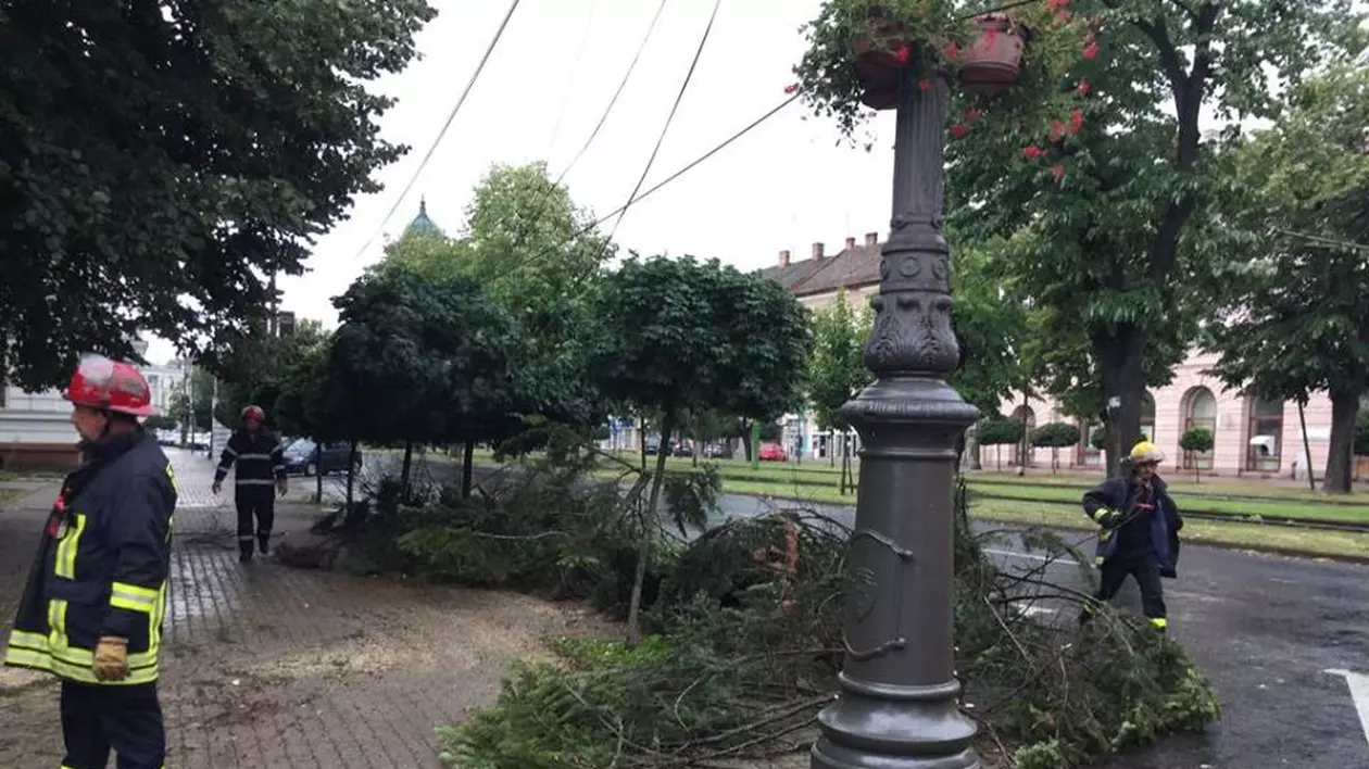 Acoperişuri smulse şi copaci doborâţi de vânt, la Arad. Copaci căzuți în Arad, după furtuna din 8 iulie
