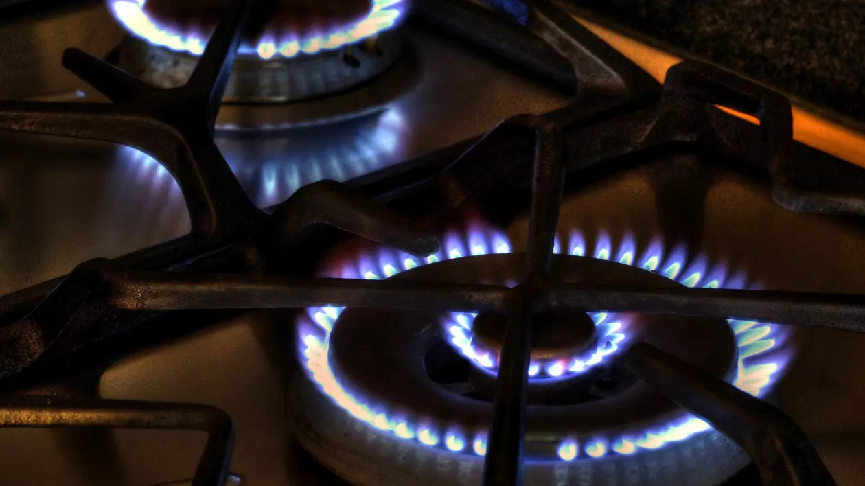 ANRE îngheață prețurile la energie și gaze până în 2022. Două ochiuri arzând pe aragaz