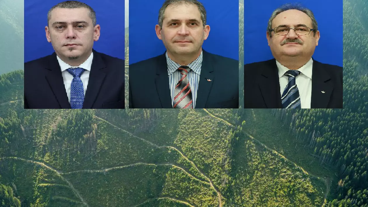 Liber la defrișări! Toporul UDMR din Parlament: "Nu afectăm natura dacă tăiem câteva hectare"
