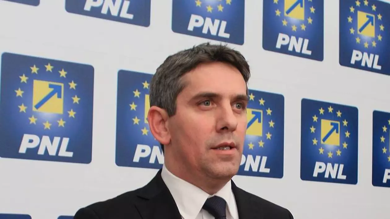 Ionel Danca, PNL