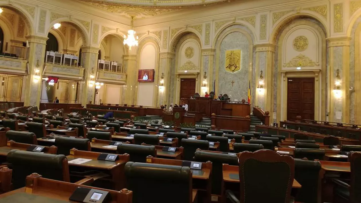 Va fi înființat Institutul pentru Promovarea Valorilor Naţionale "Regele Mihai I"