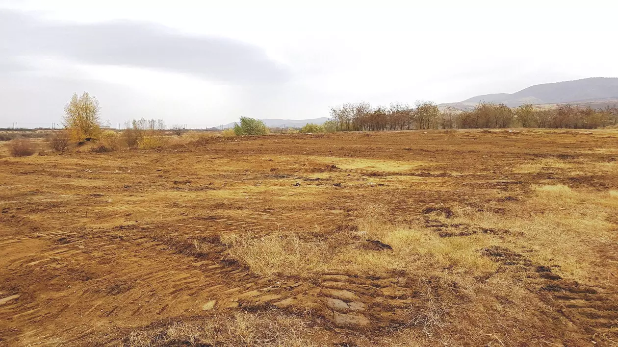 Pădure Centenară într-o comună din județul Arad. Vor fi plantați 1918 stejari