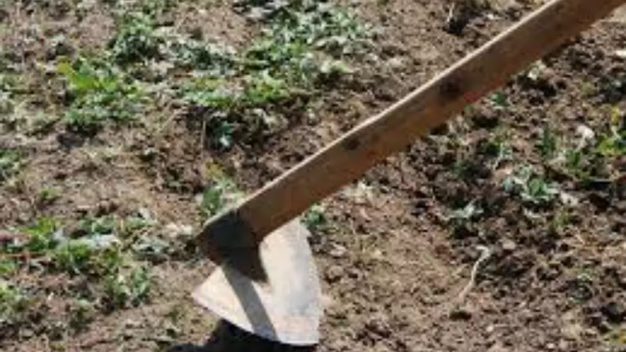 Un tânăr a fost lovit în cap cu o sapă! Atacatorul a spus că a confundat victima cu altă persoană!