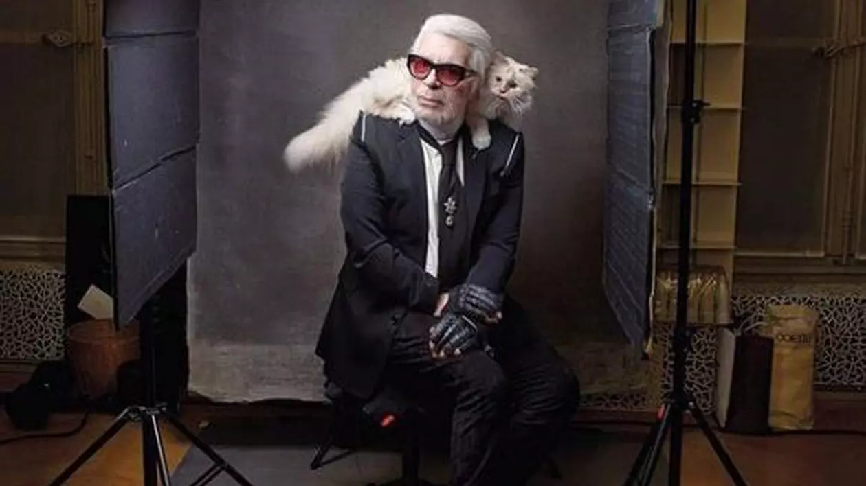 Ce a apărut pe contul lui Choupette, pisica care va moșteni averea lui Karl Lagerfeld, după moartea designerului