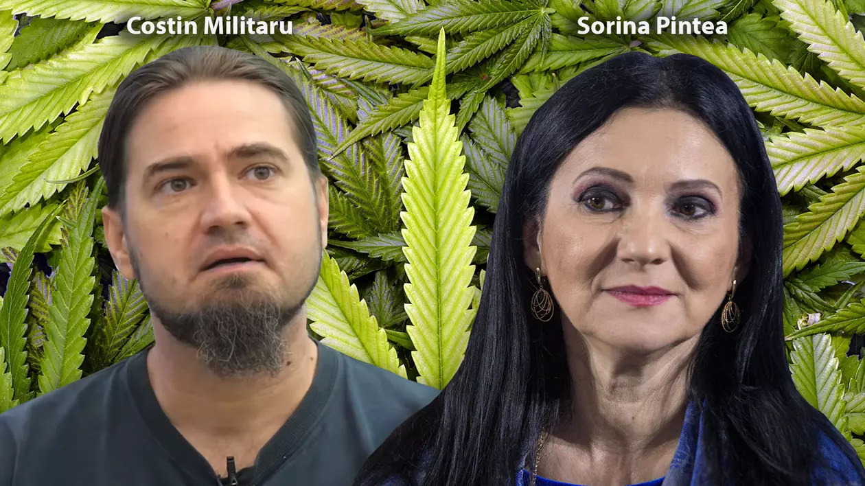 EXCLUSIV/ De ce se grăbește Guvernul Dăncilă să legalizeze canabisul medicinal? Participanții secreți de la discuții