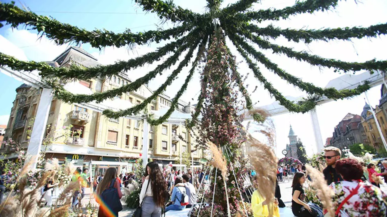 Festivalul Florilor Timfloralis de la Timișoara a costat peste 300.000 de euro