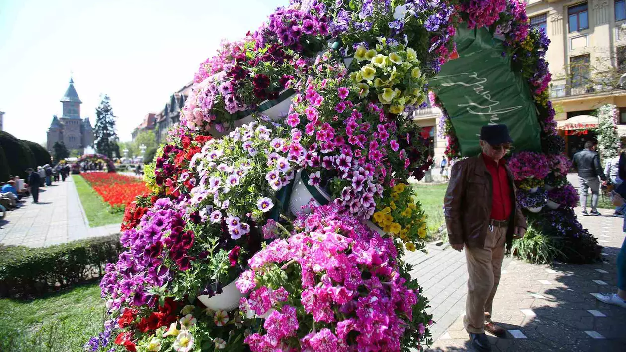 A început Festivalul Florilor la Timișoara. Primăria a cheltuit 200.000 de euro