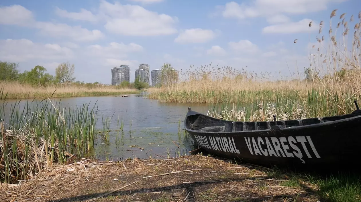Picnic și plimbări cu bicicleta în Delta Văcărești. Cum arată proiectul Ministerului Mediului