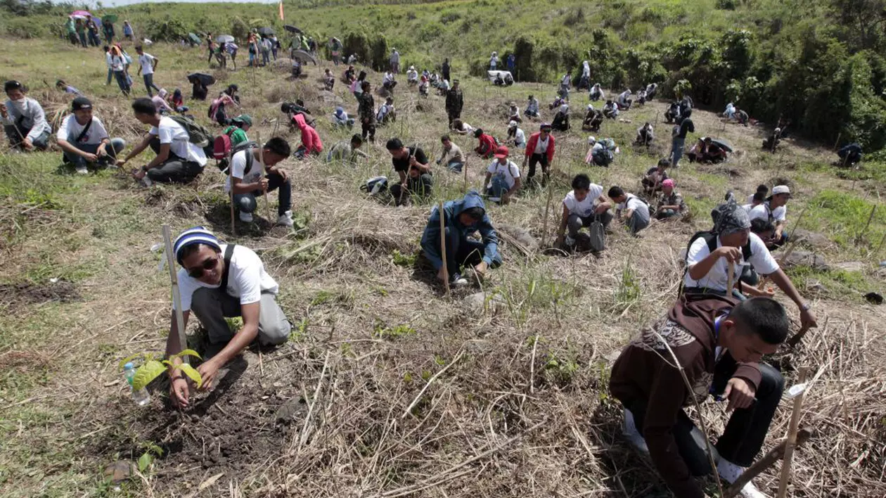 O nouă lege în Filipine impune studenților plantarea a câte 10 copaci drept condiţie de absolvire